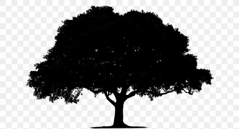 Stock Photography Royalty-free Tree Image, PNG, 2000x1082px, Stock Photography, Art, Blackandwhite, Branch, Fruit Tree Download Free
