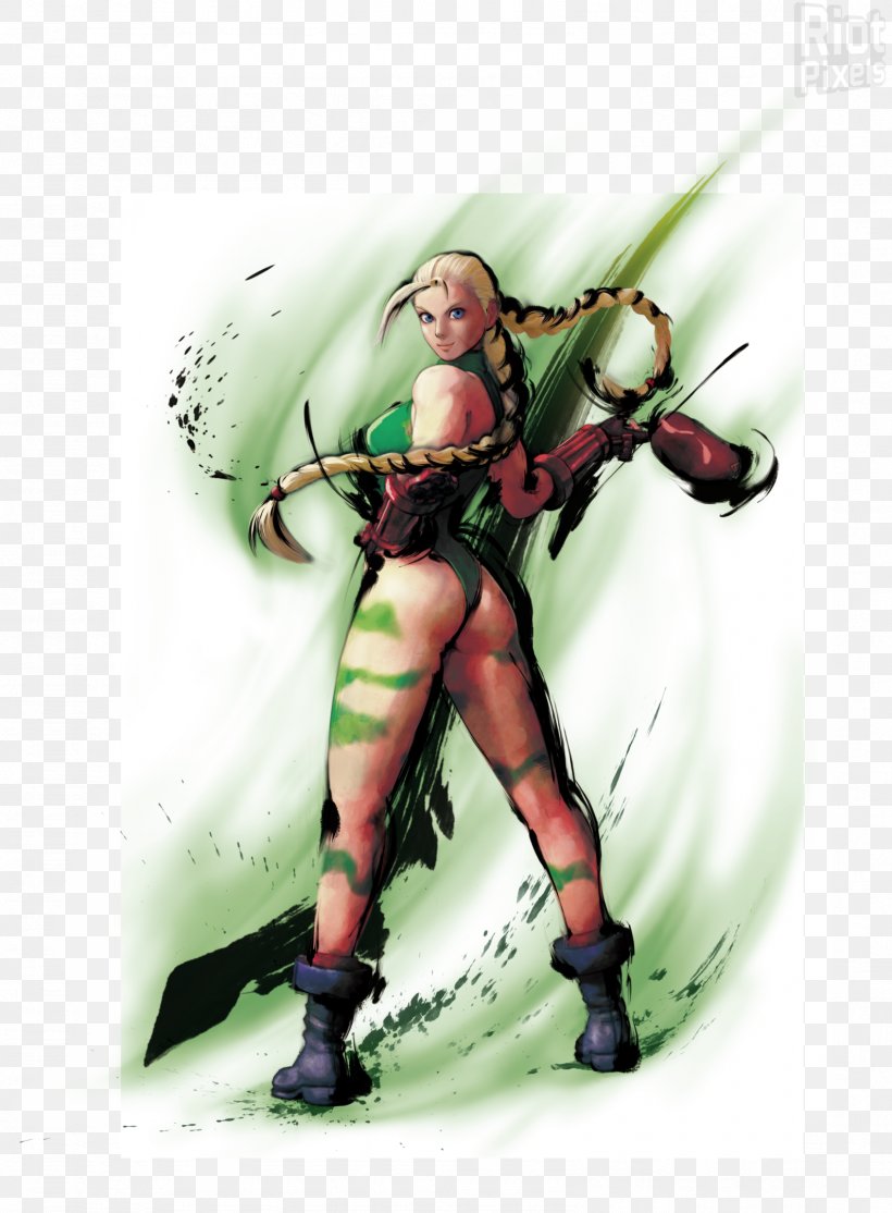 Super Street Fighter IV Cammy Akuma Fei Long, PNG, 1589x2160px, Watercolor, Cartoon, Flower, Frame, Heart Download Free