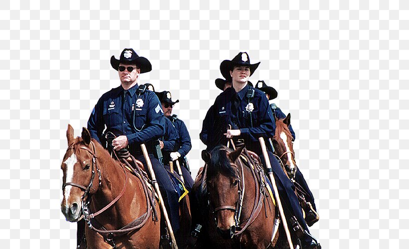 Horse Denver Police Protective Association Rein Mounted Police, PNG, 595x500px, Horse, Bridle, Cowboy, Denver, Horse Harness Download Free