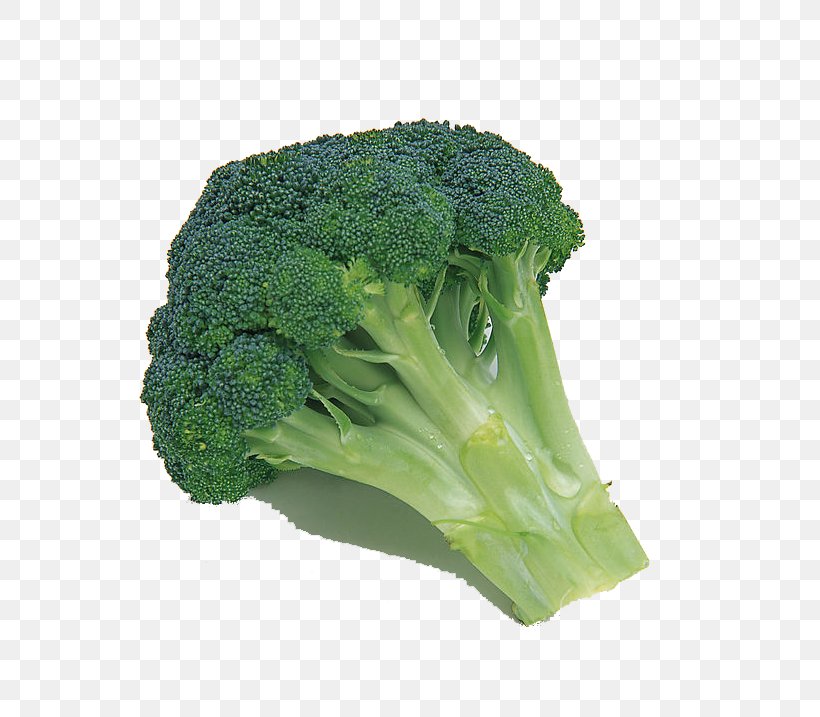 Broccoli Cauliflower Chinese Cabbage Vegetable, PNG, 723x717px, Broccoli, Brassica Oleracea, Cabbage, Cauliflower, Chinese Cabbage Download Free