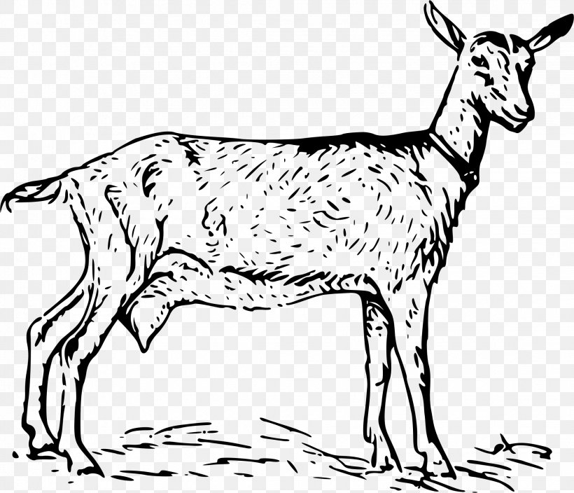 Black Bengal Goat Clip Art, PNG, 2264x1945px, Black Bengal Goat, Animal Figure, Black And White, Cattle Like Mammal, Cow Goat Family Download Free