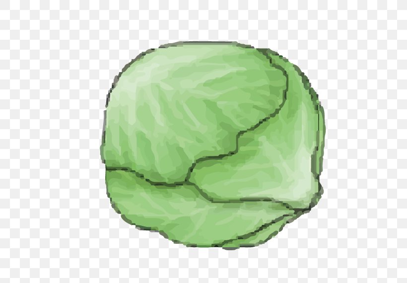 Cabbage Kale Cartoon, PNG, 596x570px, Cabbage, Brassica Oleracea, Cartoon, Chou, Food Download Free