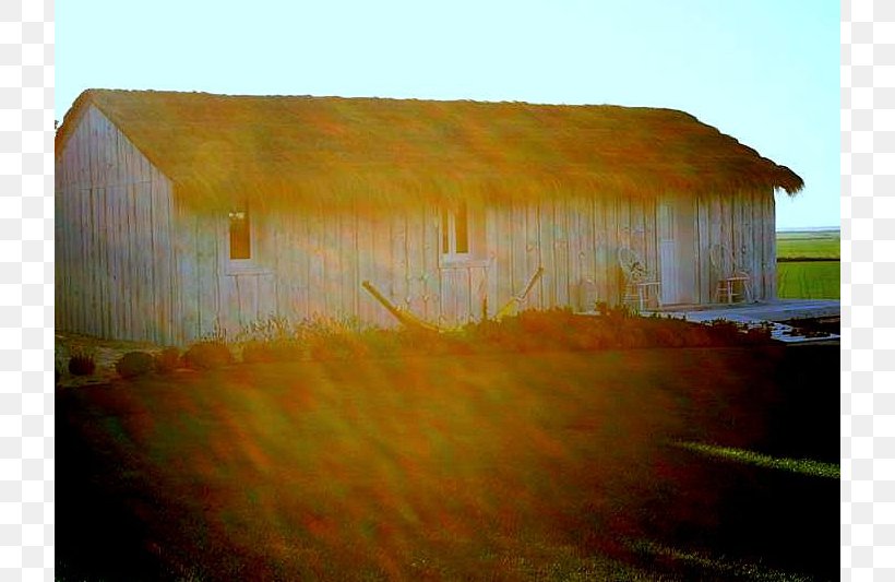 Property Kolej Tuanku Ja'afar Shed Rural Area Wall, PNG, 800x533px, Property, Barn, Facade, Farm, Field Download Free