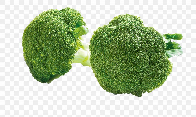 Broccoli Cauliflower Cabbage Nutrition Food, PNG, 3744x2238px, Broccoli, Brassica Oleracea, Broccoli Sprouts, Cabbage, Cancer Download Free
