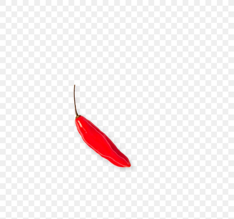 Chili Pepper, PNG, 591x765px, Chili Pepper, Bell Peppers And Chili Peppers, Red, Vegetable Download Free