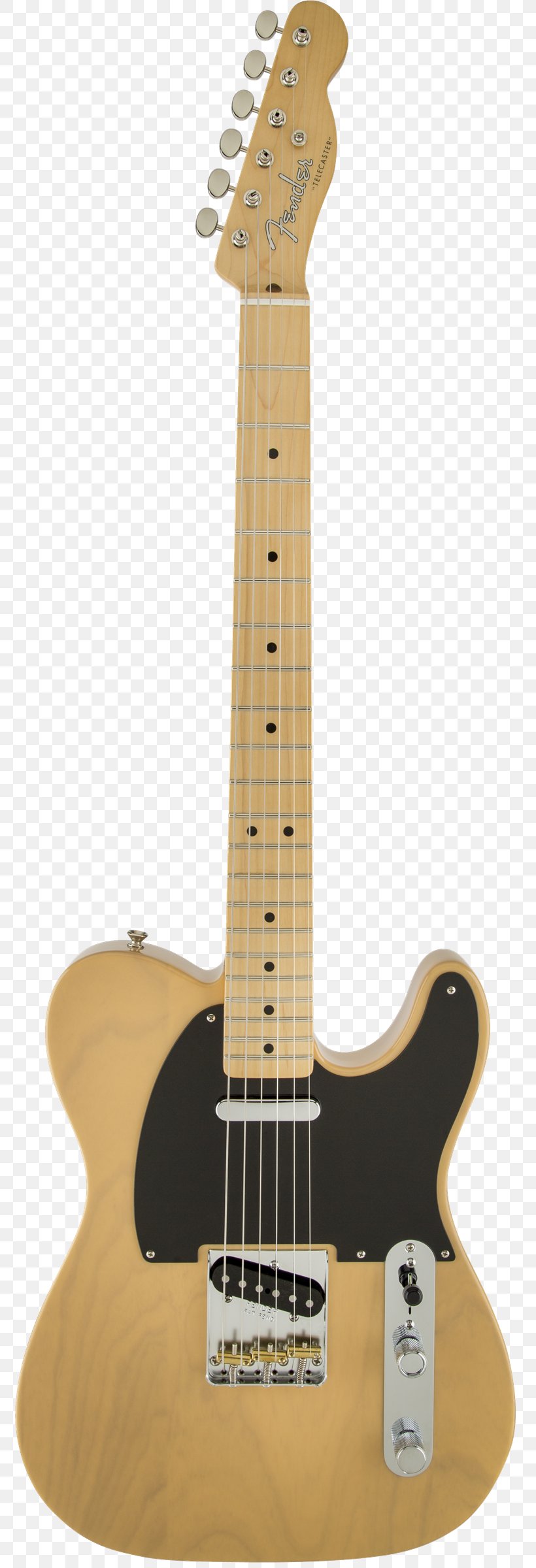 Fender Telecaster Thinline Fender Stratocaster Fender Musical Instruments Corporation Guitar, PNG, 775x2400px, Fender Telecaster, Acoustic Electric Guitar, Acoustic Guitar, Bass Guitar, Bigsby Vibrato Tailpiece Download Free