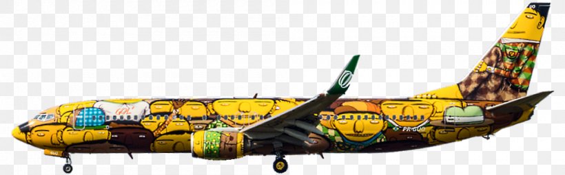 Boeing 737 Wide-body Aircraft Air Travel Aerospace Engineering, PNG, 1000x311px, Boeing 737, Aerospace, Aerospace Engineering, Air India Express, Air Travel Download Free