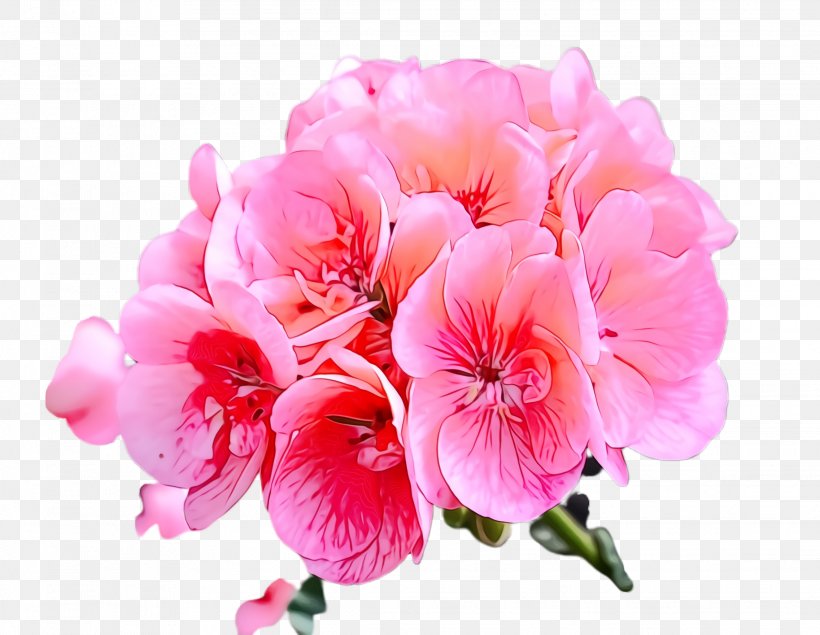 Flower Flowering Plant Petal Pink Plant, PNG, 2272x1760px, Watercolor, Bouquet, Cut Flowers, Flower, Flowering Plant Download Free