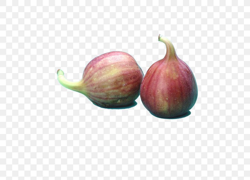 Fruit Vegetable Auglis Melon Common Fig, PNG, 591x591px, Fruit, Auglis, Common Fig, Food, Fruit Tree Download Free