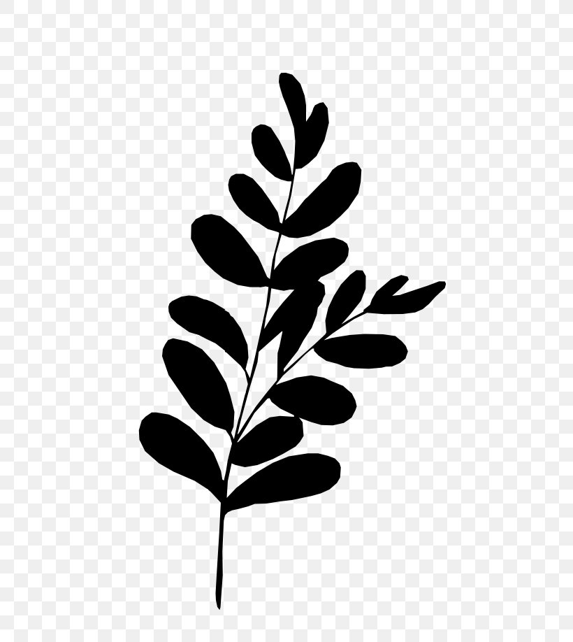 Leaf Branch, PNG, 564x918px, Twig, Blackandwhite, Branch, Flower, Leaf Download Free