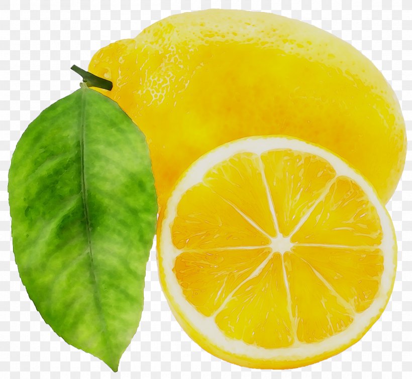 Sweet Lemon Bitter Orange Wart Citron, PNG, 2400x2210px, Lemon, Bitter Orange, Bryophyllum Pinnatum, Citric Acid, Citron Download Free