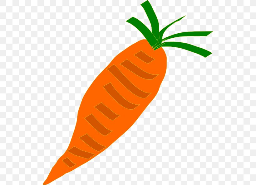 Carrot Soup Vegetable Clip Art, PNG, 546x594px, Carrot Soup, Baby Carrot, Carrot, Food, Free Content Download Free
