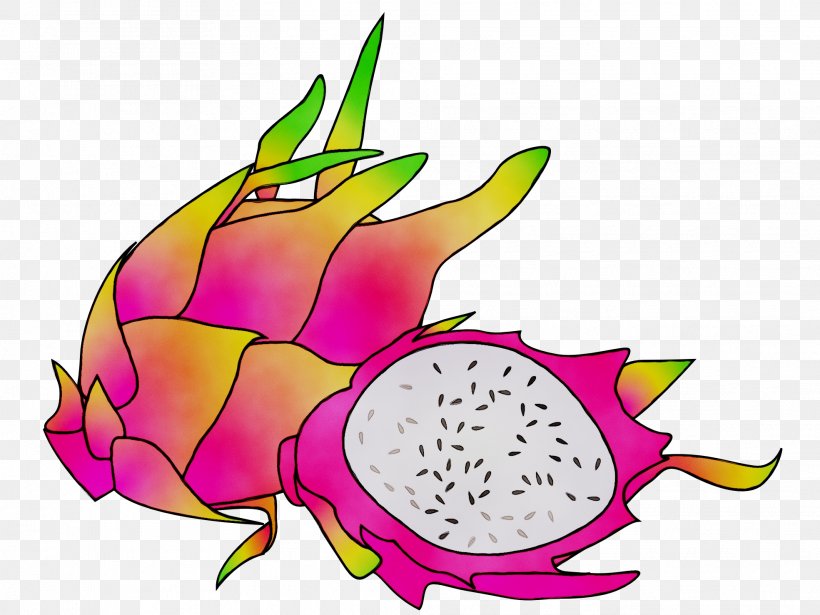 Clip Art Pitaya Fruit Juice, PNG, 1969x1477px, Pitaya, Carambola, Dragon, Dragonfruit, Food Download Free