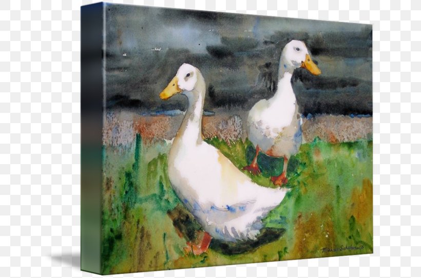 Duck Goose Watercolor Painting American Pekin, PNG, 650x542px, Duck, American Pekin, Anatidae, Animal, Art Download Free