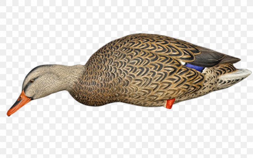 Mallard Duck Decoy Goose, PNG, 940x587px, Mallard, Beak, Bird, Decoy, Duck Download Free