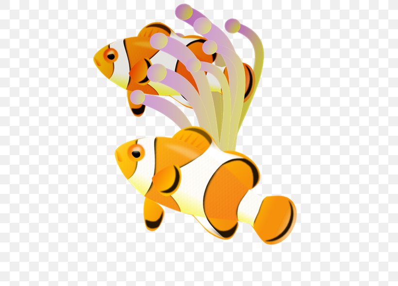 Nemo Ocellaris Clownfish Clip Art, PNG, 480x590px, Nemo, Art, Cartoon, Clownfish, Drawing Download Free