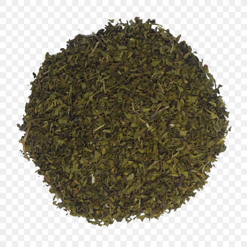 Nilgiri Tea Plant, PNG, 1200x1200px, Nilgiri Tea, Assam Tea, Plant, Tea Plant Download Free