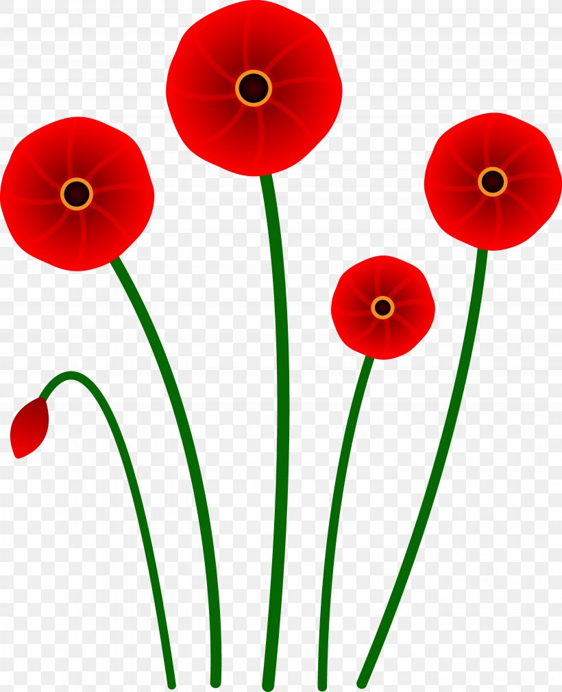 Poppy Flower Red Clip Art, PNG, 5560x6855px, Poppy, Armistice Day, California Poppy, Common Poppy, Cut Flowers Download Free
