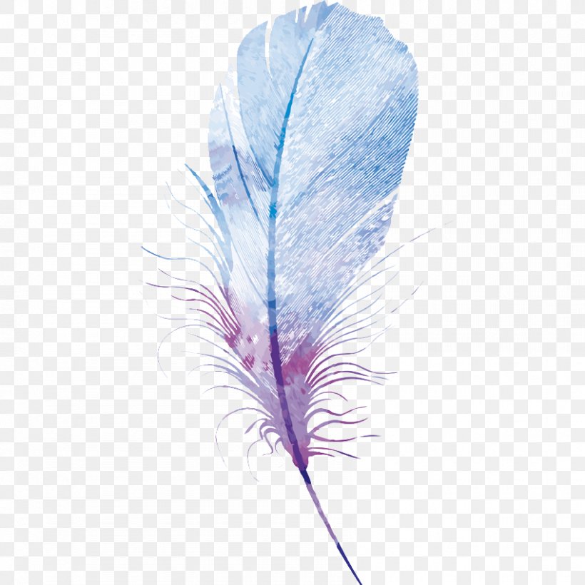 Bird Feather Watercolor Painting Canvas, PNG, 850x850px, Bird, Art, Canvas, Color, Feather Download Free