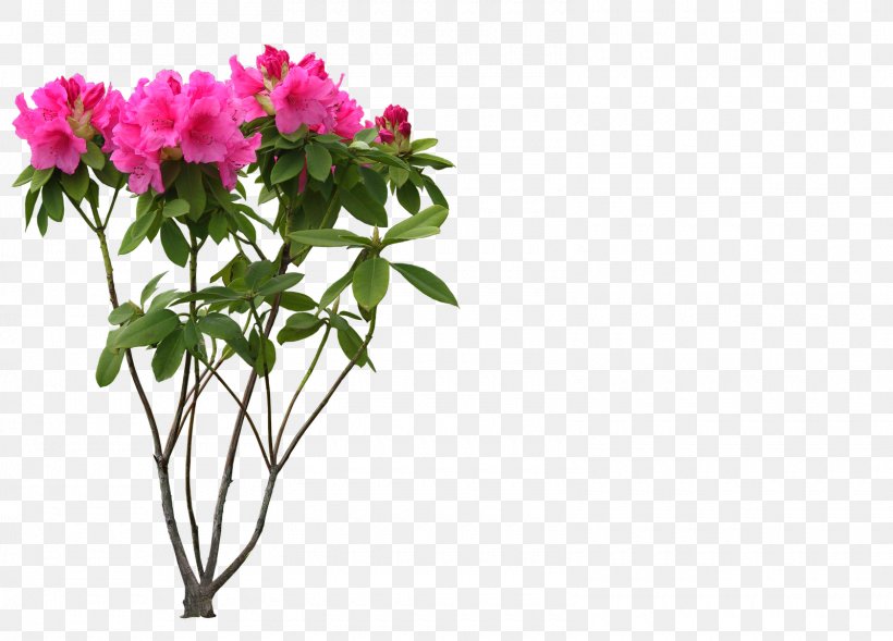 Flower Layers Desktop Wallpaper, PNG, 1600x1150px, Flower, Annual Plant, Branch, Cut Flowers, Flora Download Free