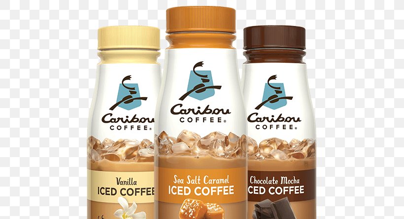 Iced Coffee Caffè Mocha Caribou Coffee Bottle, PNG, 600x446px, Iced Coffee, Beverages, Bottle, Caffeine, Caribou Coffee Download Free