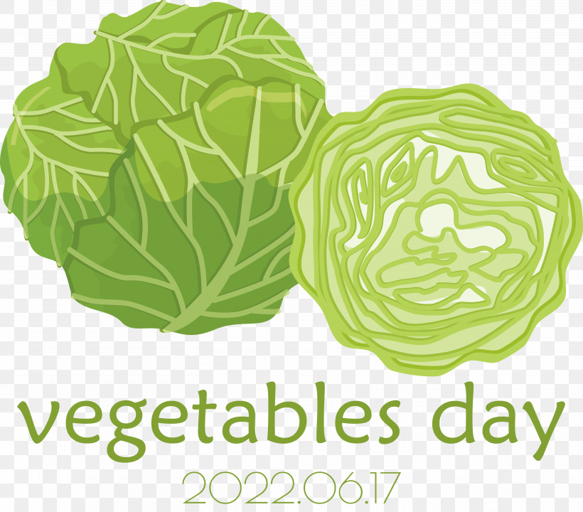 Leaf Vegetable Cabbage Vegetable Leaf Font, PNG, 5844x5138px, Leaf Vegetable, Biology, Cabbage, Door, Green Download Free