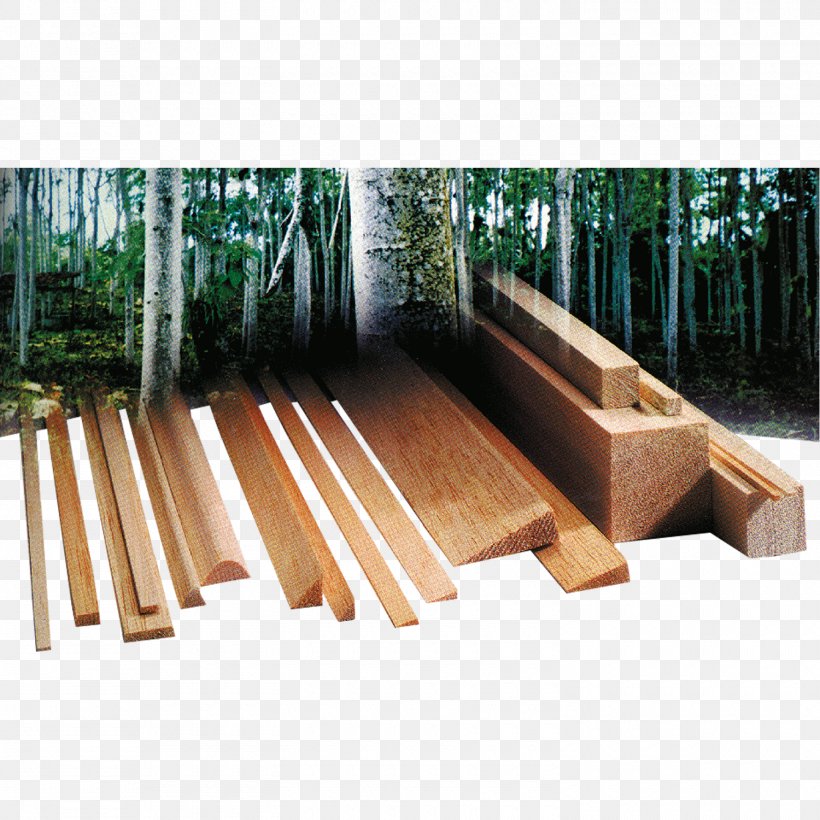 Ochroma Pyramidale Lumber Plywood Graupner Plank, PNG, 1500x1500px, Ochroma Pyramidale, Business, Diameter, Family Business, Graupner Download Free