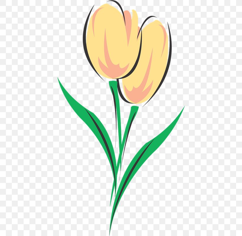 Tulip Drawing Coloring Book Flower Clip Art, PNG, 432x800px, Tulip, Artwork, Book, Coloring Book, Cut Flowers Download Free