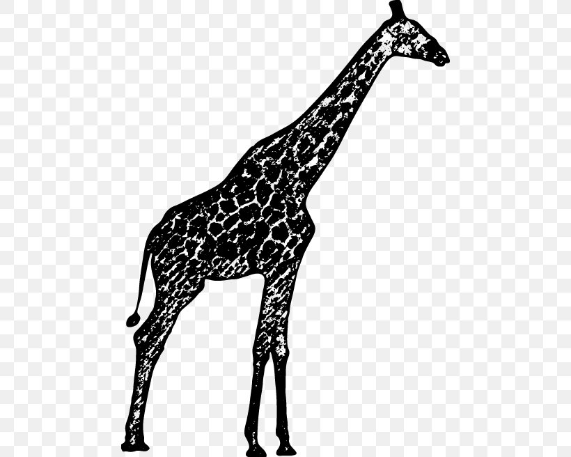 Black And White Northern Giraffe Drawing, PNG, 472x656px, Black And White, Animal, Animal Figure, Cartoon, Drawing Download Free