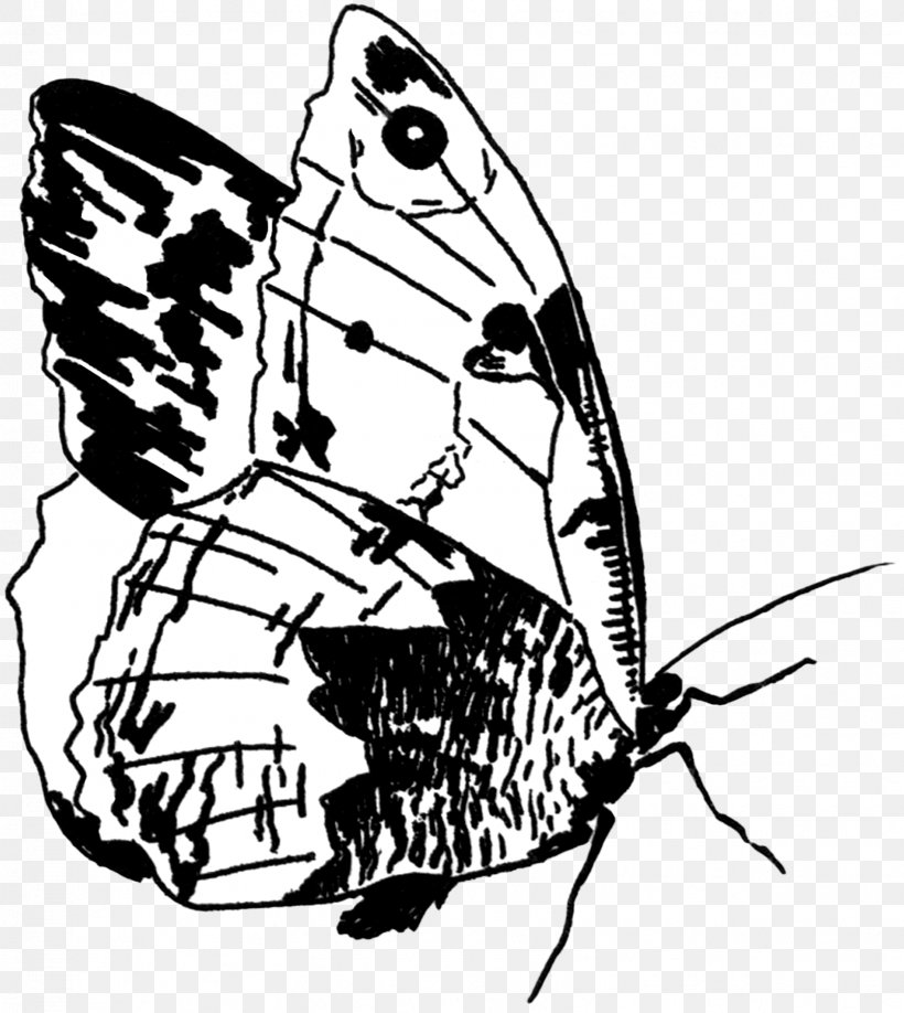Brush-footed Butterflies Butterfly Insect Drawing Clip Art, PNG, 1607x1800px, Brushfooted Butterflies, Arthropod, Artwork, Black And White, Brush Footed Butterfly Download Free