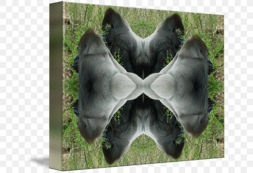 Gorilla Fur Snout Animal, PNG, 650x560px, Gorilla, Animal, Fauna, Fur, Grass Download Free