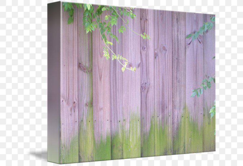 /m/083vt Wood Curtain, PNG, 650x560px, Wood, Curtain, Grass, Green, Purple Download Free