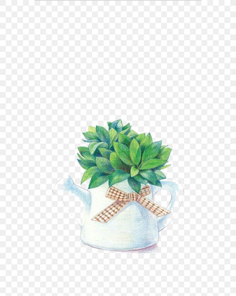 Plant Leaf Devils Ivy Illustration, PNG, 580x1030px, Plant, Bonsai, Bougainvillea, Cartoon, Common Sunflower Download Free