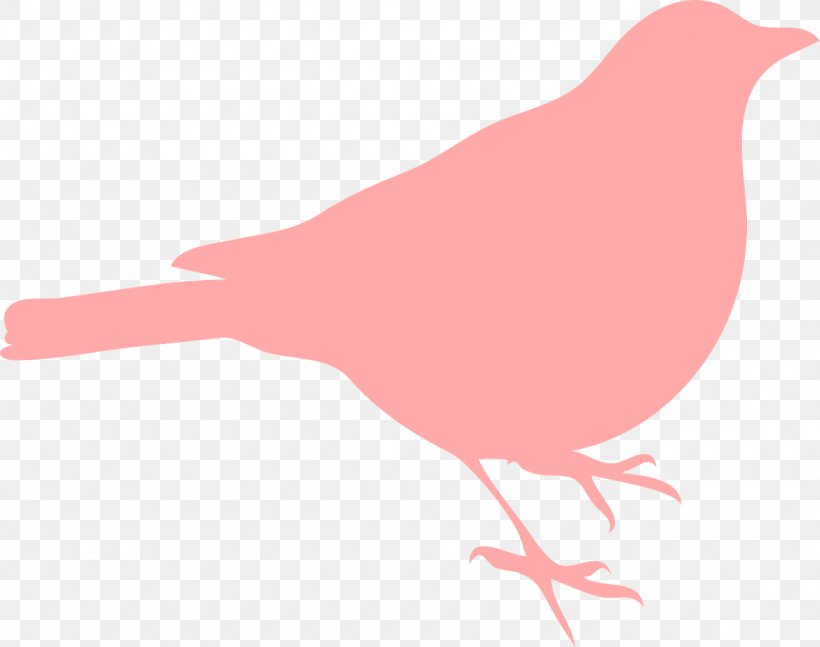 Bird Northern Cardinal Clip Art, PNG, 1280x1010px, Bird, Beak, Blog, Cardinal, Fauna Download Free