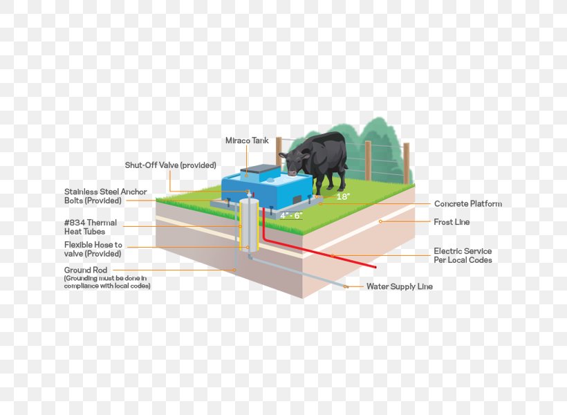 Cattle Animal Miraco Livestock .com, PNG, 693x600px, Cattle, Animal, Com, Diagram, Engineering Download Free