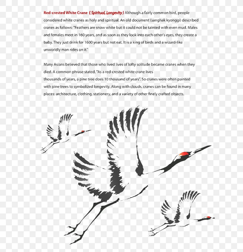 Crane Yunhezhen, PNG, 630x850px, Crane, Beak, Bird, Bird Of Prey, Black And White Download Free