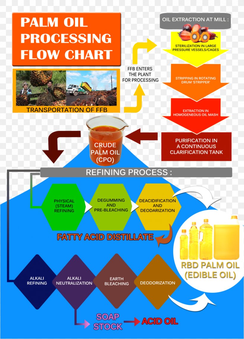 Malaysian Palm Oil Board Cooking Oils Palm Oil Production In Malaysia, PNG, 999x1387px, Palm Oil, Advertising, Area, Cooking Oils, Diagram Download Free