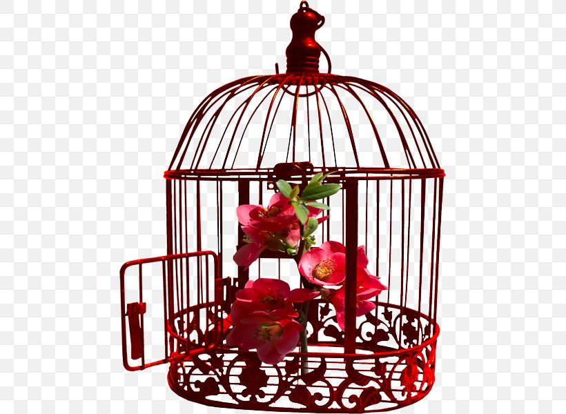 Birdcage Nightingale Songs Birdcage Parakeet, PNG, 473x600px, Cage, Animal, Bird, Birdcage, Digital Image Download Free