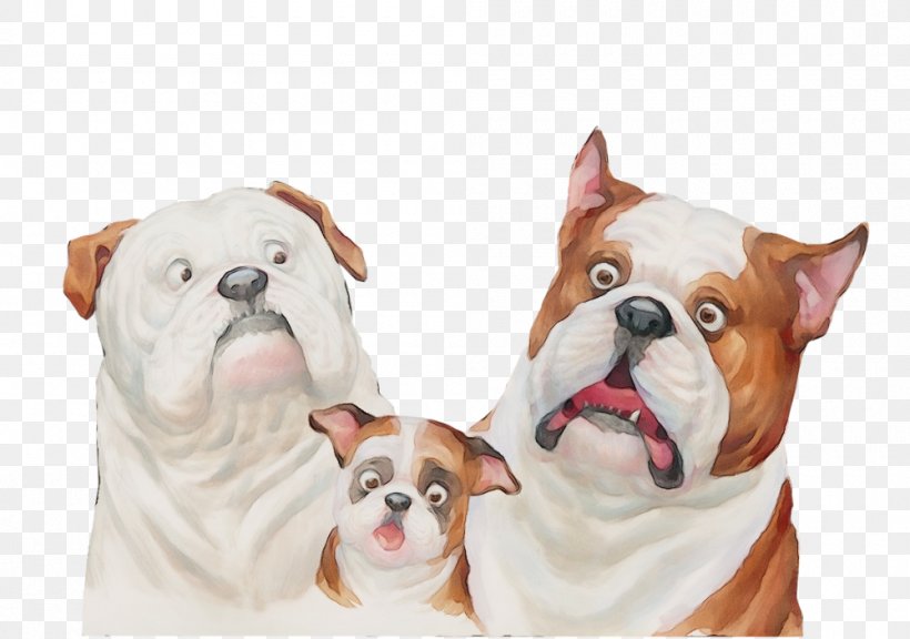 Bulldog, PNG, 1000x703px, Watercolor, Boxer, Bulldog, Dog, Paint Download Free