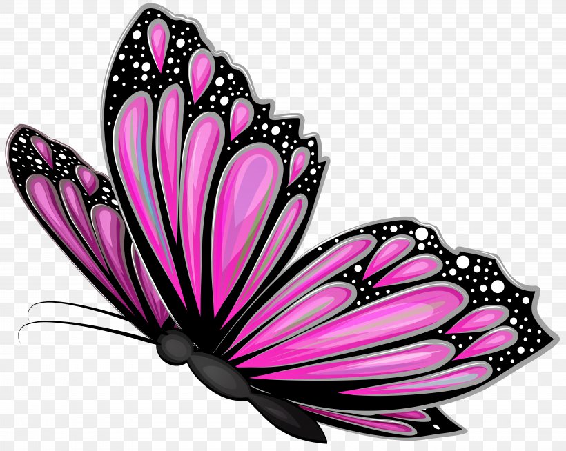 Butterflies Drawing Color - Silhouette Butterfly Vector Png, Transparent  Png , Transparent Png Image - PNGitem