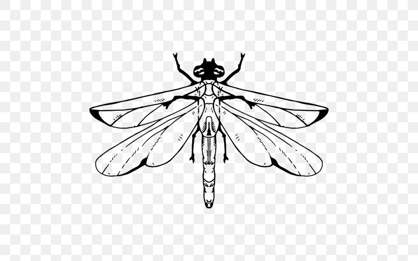 Drawing Graphic Design, PNG, 512x512px, Drawing, Art, Arthropod, Artwork, Black And White Download Free