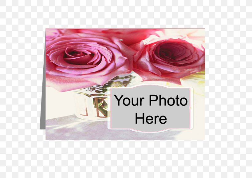 Garden Roses Cut Flowers Printing Floral Design, PNG, 576x579px, Garden Roses, Artificial Flower, Book, Canvas Print, Cut Flowers Download Free