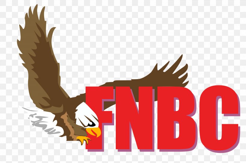 Sales Business Broker First National Business Corporation Real Estate, PNG, 3000x2000px, Sales, Beak, Bird, Bird Of Prey, Brand Download Free
