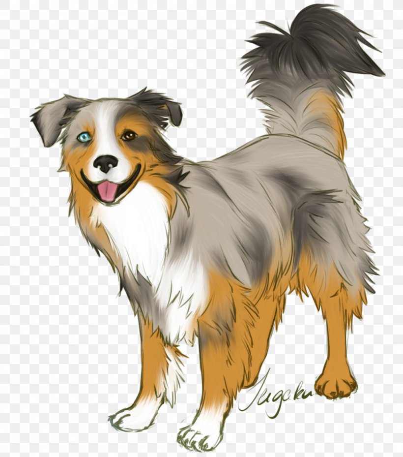 Dog Breed Australian Shepherd Miniature American Shepherd Border Collie English Shepherd, PNG, 1024x1161px, Dog Breed, Australian Shepherd, Border Collie, Breed, Carnivoran Download Free