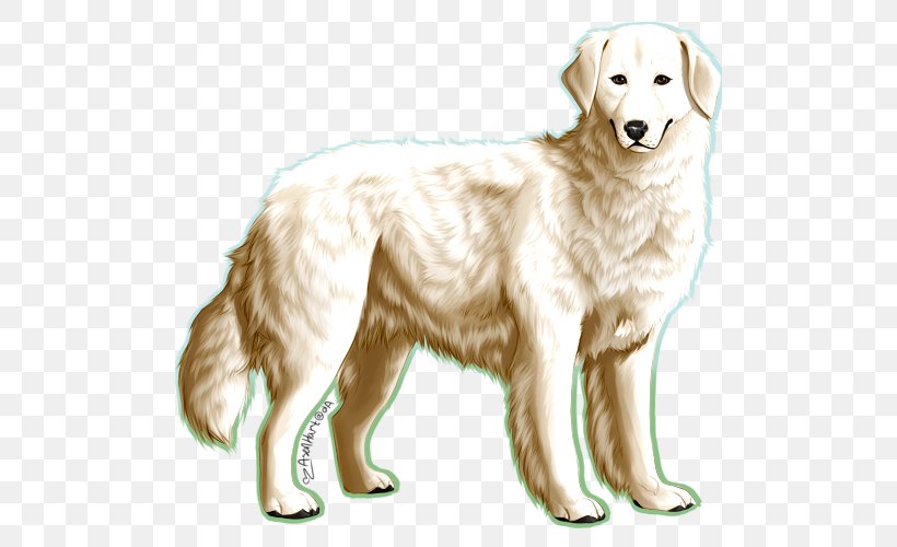 Golden Retriever Maremma Sheepdog Polish Tatra Sheepdog Kuvasz Dog Breed, PNG, 500x500px, Golden Retriever, Akbash Dog, Ancient Dog Breeds, Breed, Breed Group Dog Download Free
