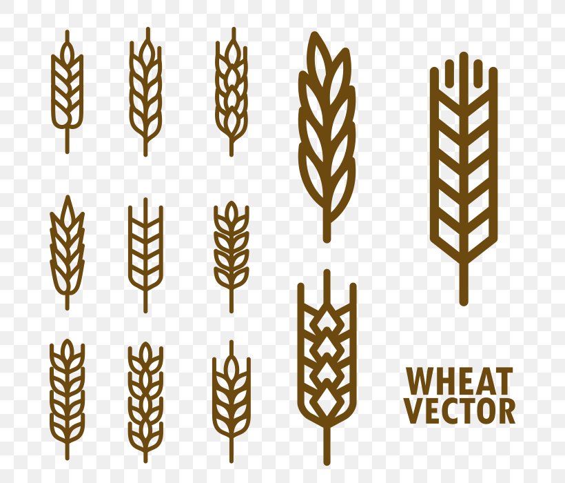Wheat Cereal Download, PNG, 700x700px, Wheat, Cereal, Commodity, Five Grains, Food Download Free