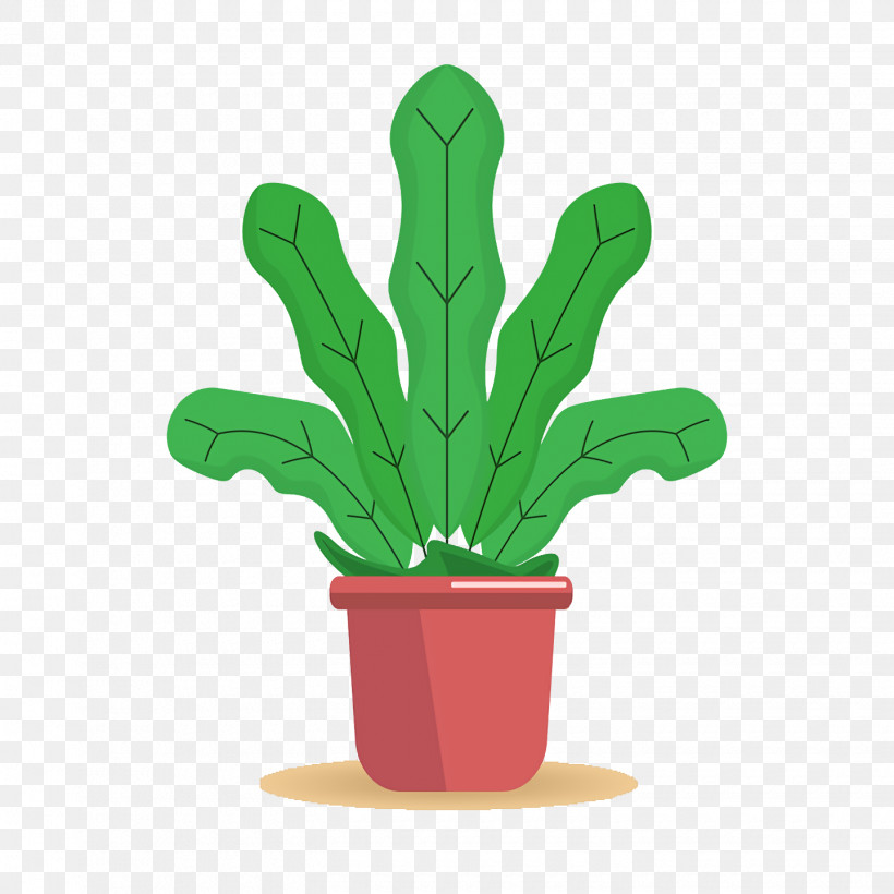 Cactus, PNG, 1440x1440px, Cactus, Flowerpot, Leaf, Macetas Cactus, Plante En Pot Download Free