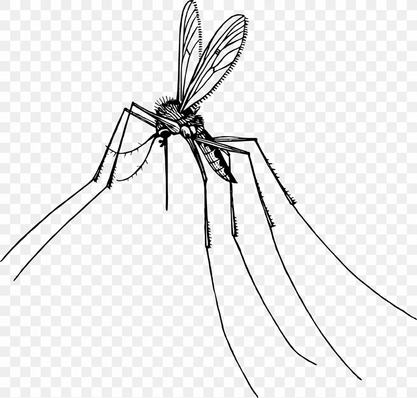 Mosquito Insect Gnat Pest Clip Art, PNG, 2400x2286px, Mosquito, Arachnid, Area, Arthropod, Artwork Download Free