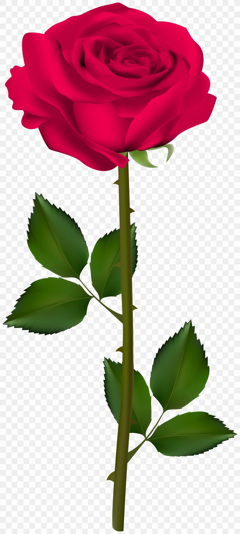 Art Drawing Rose Clip Art, PNG, 3608x8000px, Art, Art Museum, Blue Rose, Bud, Cut Flowers Download Free