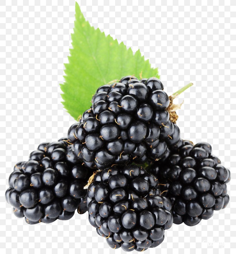 BlackBerry Fruit, PNG, 800x880px, Blackberry, Berry, Bilberry, Blackberry Messenger, Blueberry Download Free